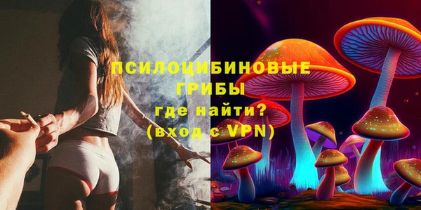 спиды Семёнов