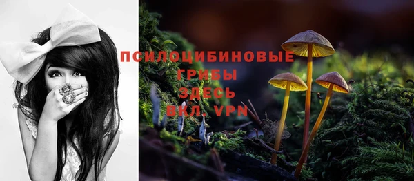 трава Семикаракорск